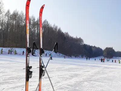 Ski In Ski Out