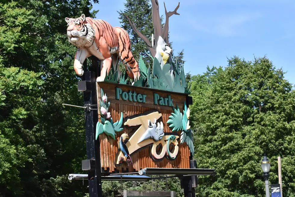 Potter Park Zoo